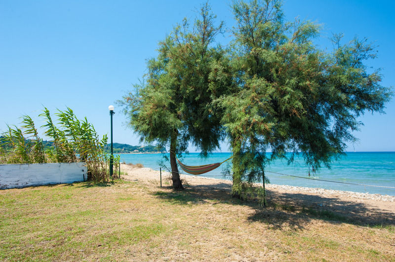 Corfu Sea Palm Residence Roda  Exteriér fotografie